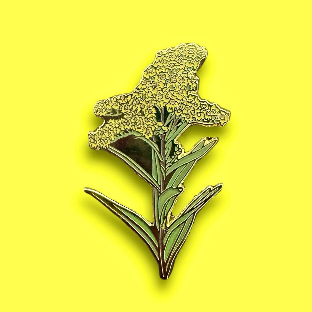 undefined image