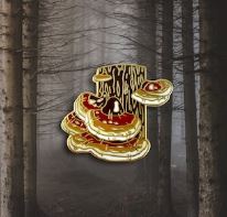 undefined image