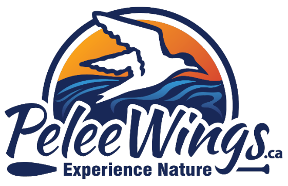 Pelee Wings logo dark