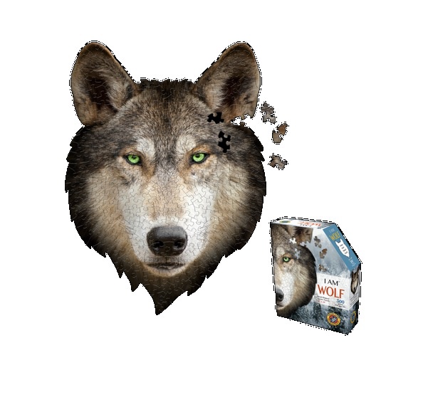 undefined image